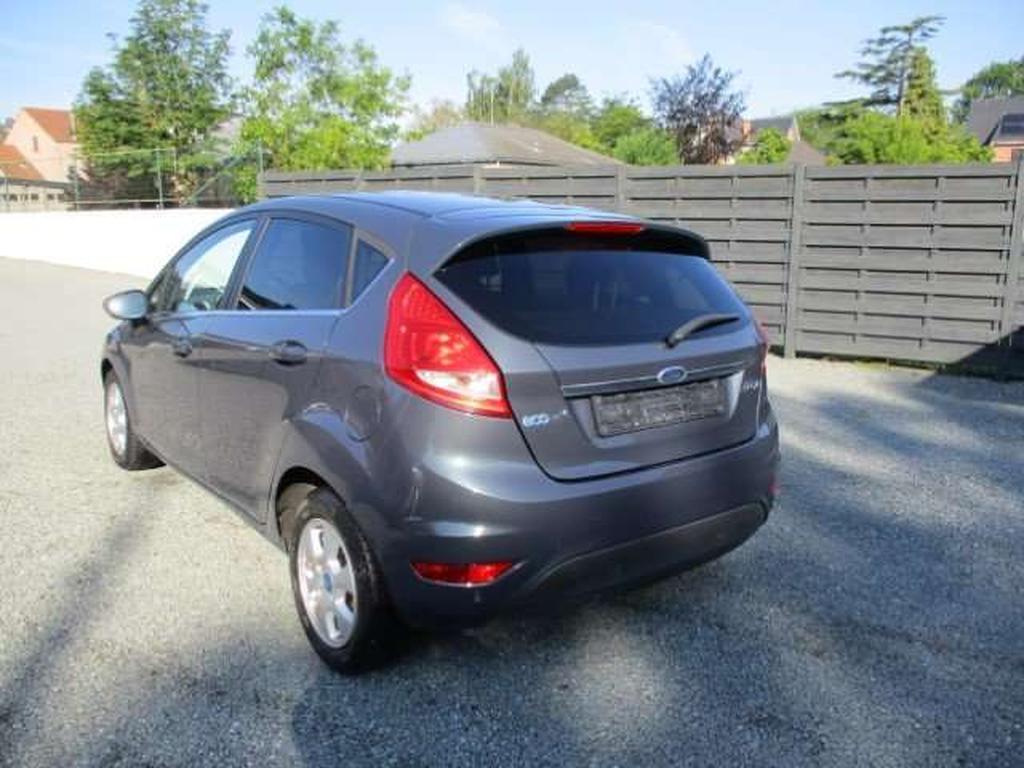 Ford Fiesta 1.6 TDCi Titanium ECOnetic DPF Maranky & Co