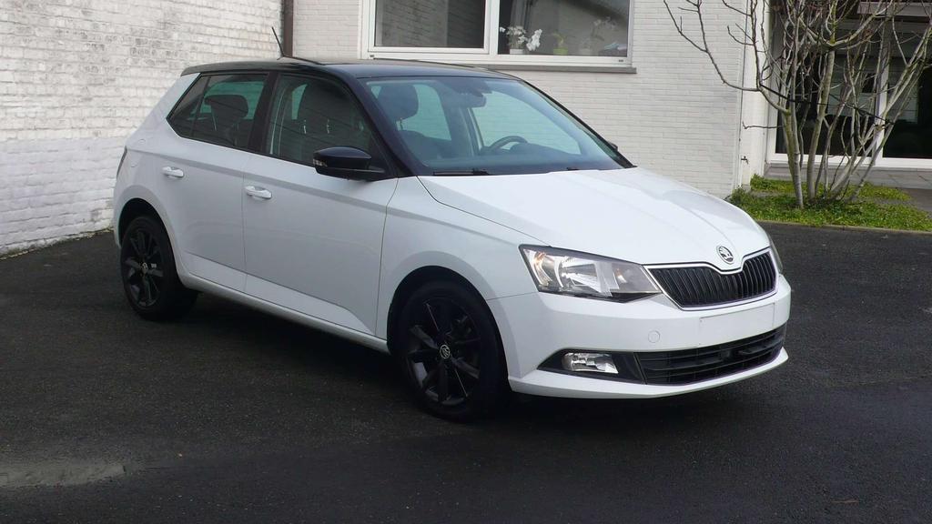 Skoda Fabia Twin Colour 5 deuren Garage Frank Mesure