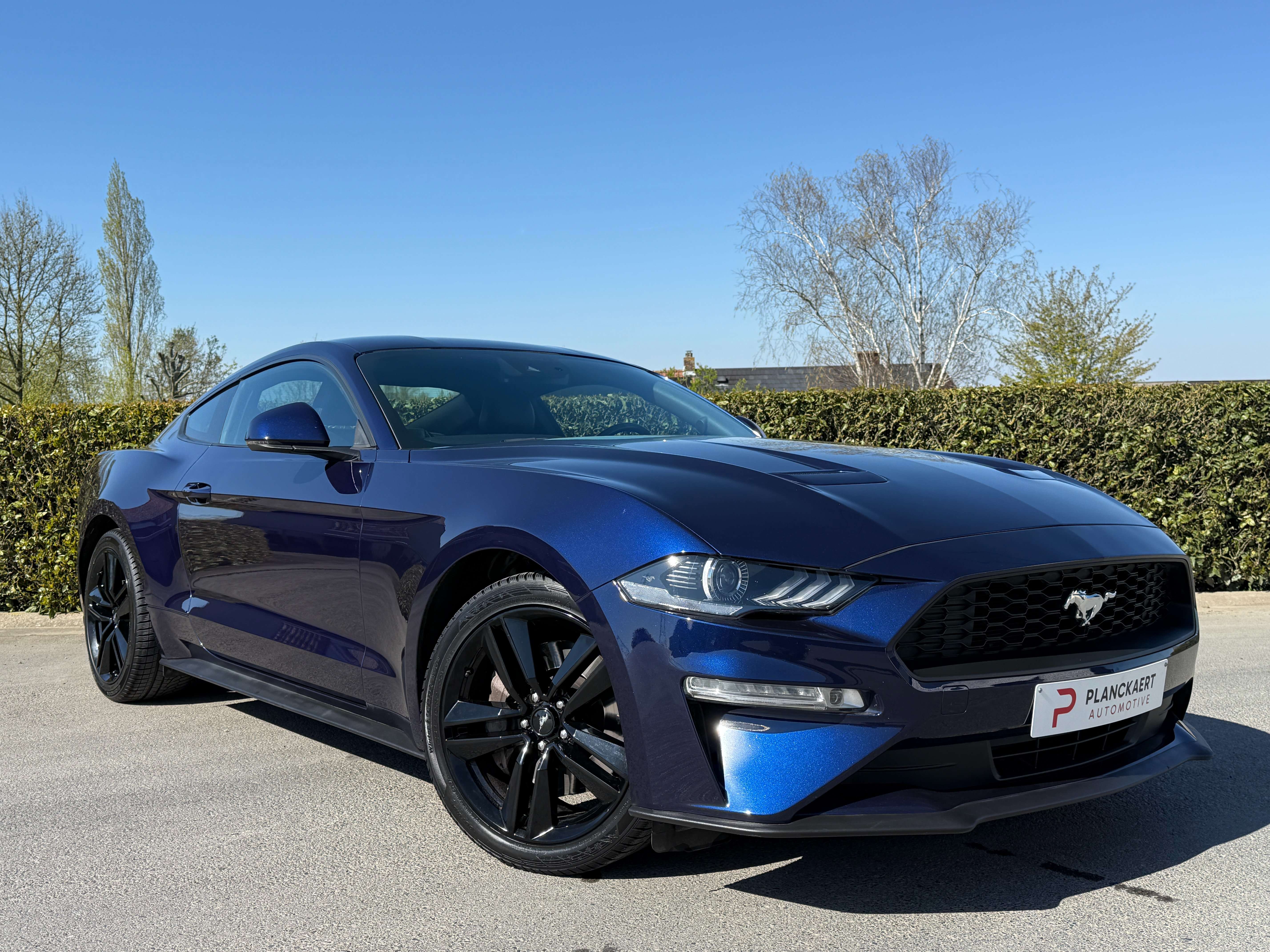 Ford Mustang 2.3 EcoBoost 290pk *Facelift /Aut./Carplay/Camera* Garage Planckaert