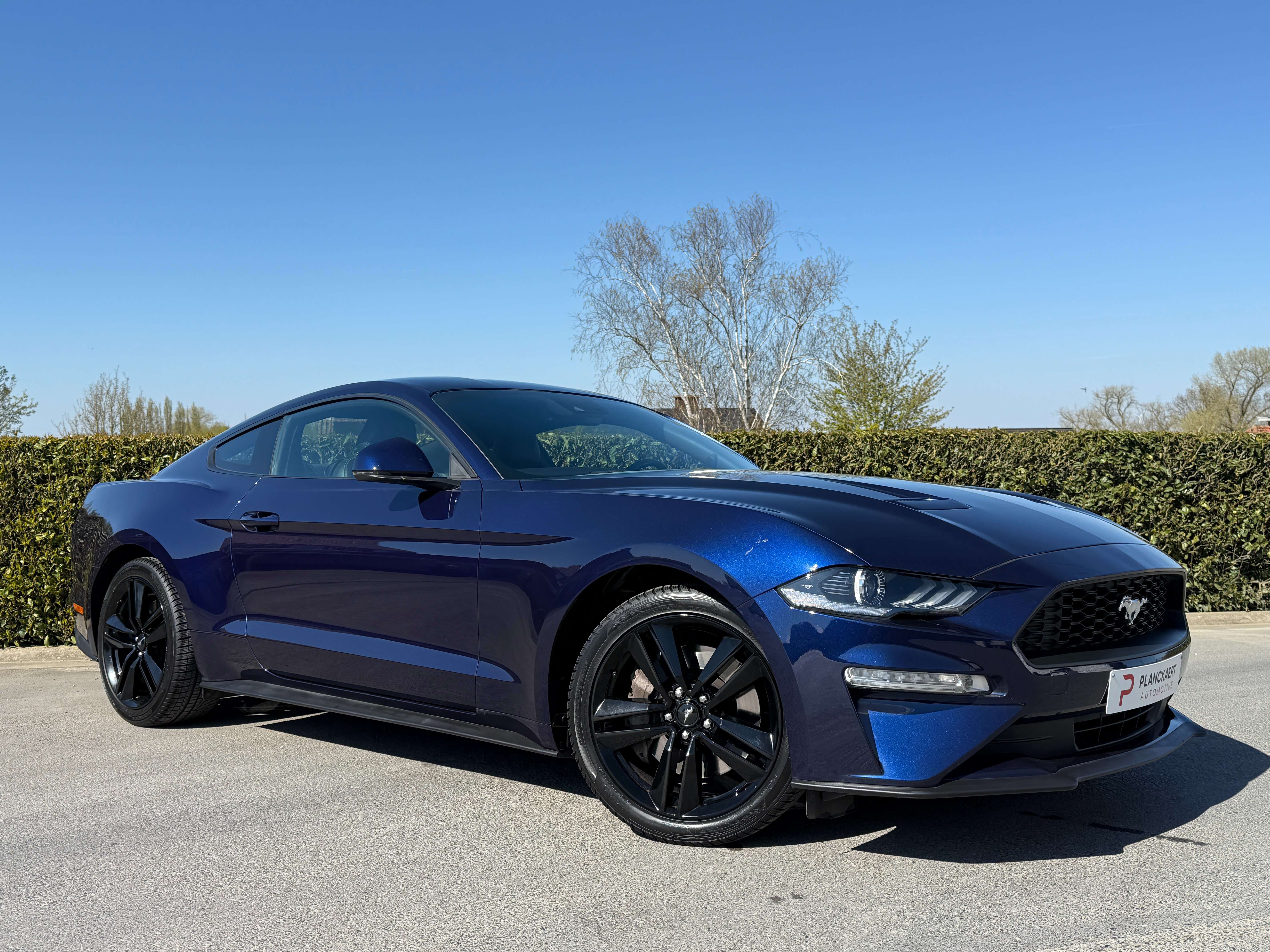 Ford Mustang 2.3 EcoBoost 290pk *Facelift /Aut./Carplay/Camera* Garage Planckaert