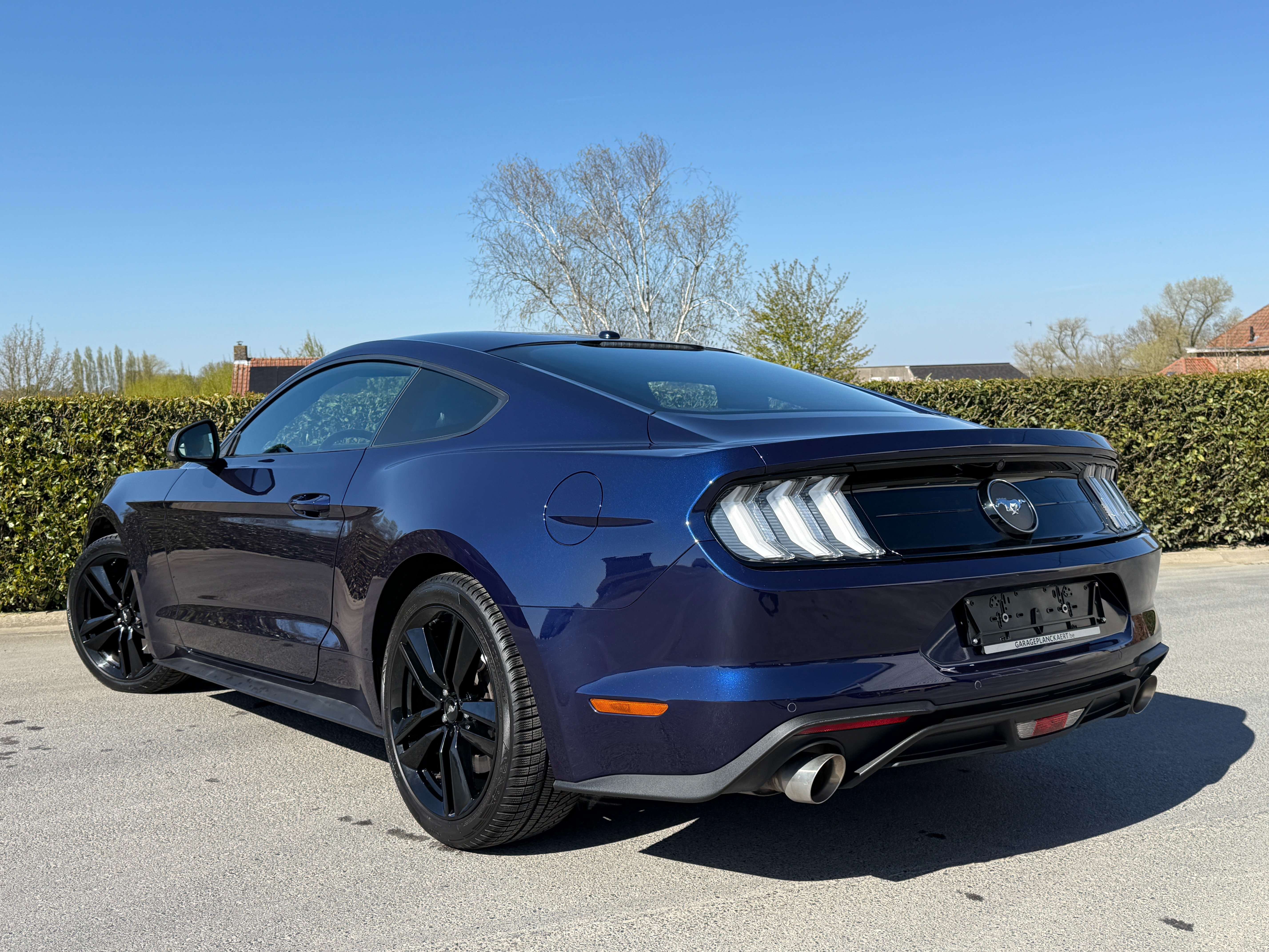 Ford Mustang 2.3 EcoBoost 290pk *Facelift /Aut./Carplay/Camera* Garage Planckaert