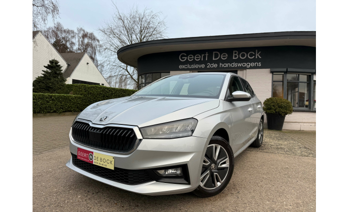 Geert De Bock - Skoda Fabia