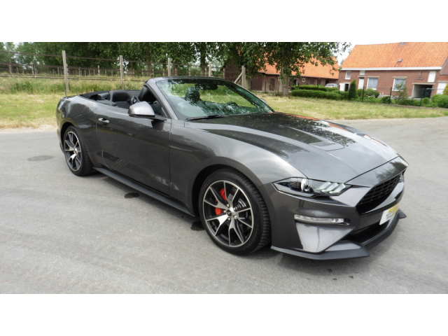 Autobedrijf Vynckier - Ford Mustang