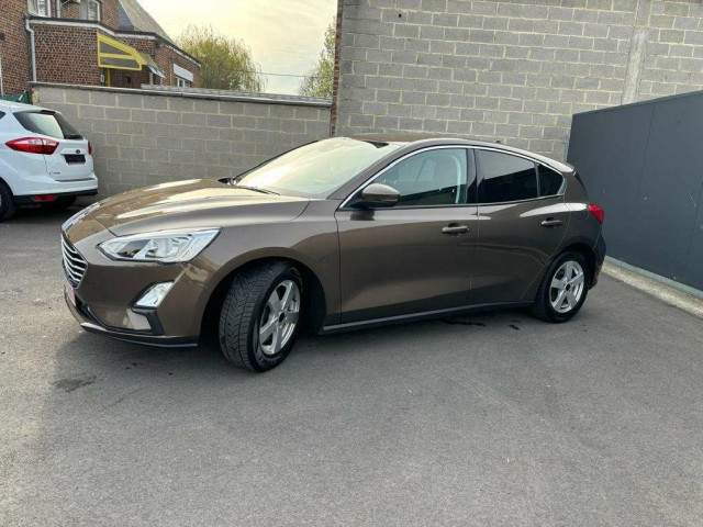 Ninove auto - Ford Focus