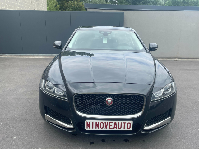 Ninove auto - Jaguar XF