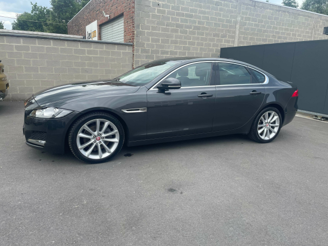 Ninove auto - Jaguar XF