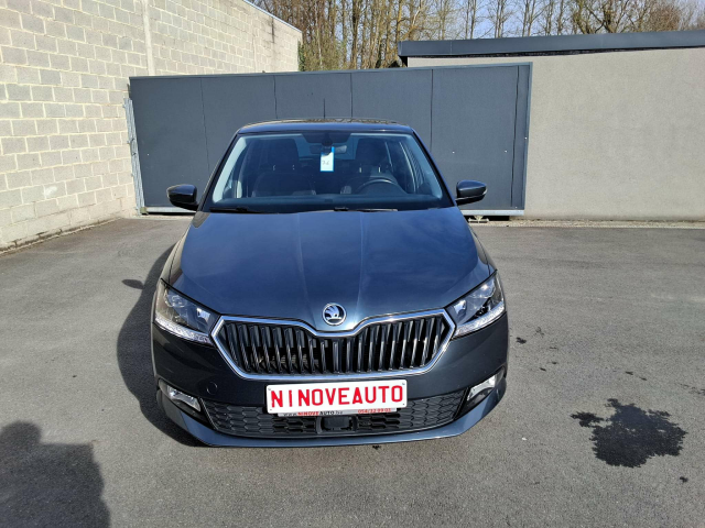 Ninove auto - Skoda Fabia
