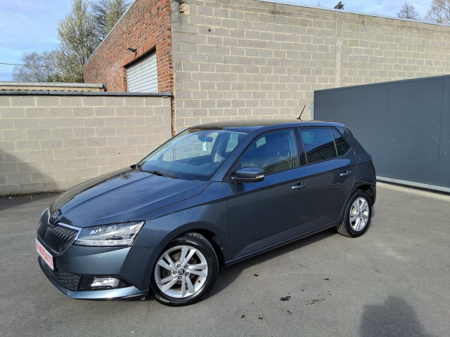 Ninove auto - Skoda Fabia