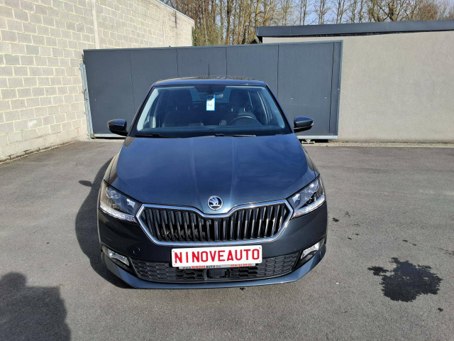 Ninove auto - Skoda Fabia