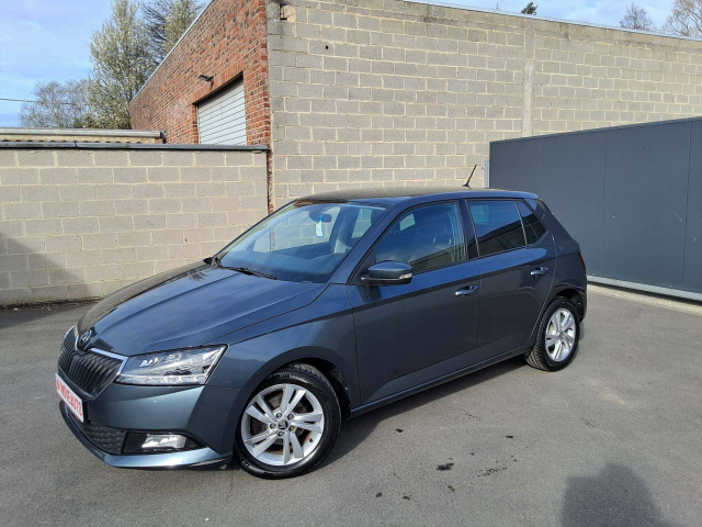 Ninove auto - Skoda Fabia