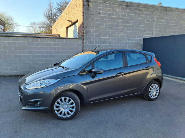 Ninove auto - Ford Fiesta