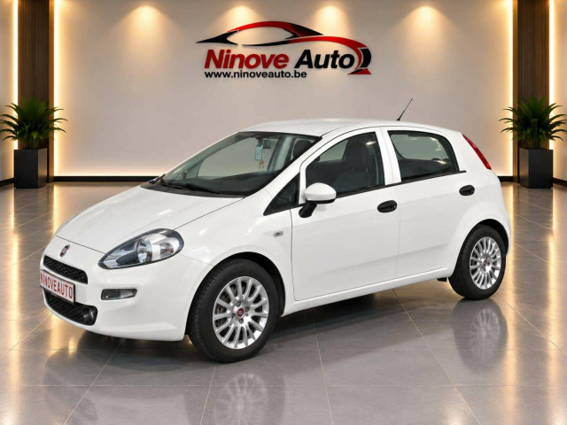 Ninove auto - Fiat Punto