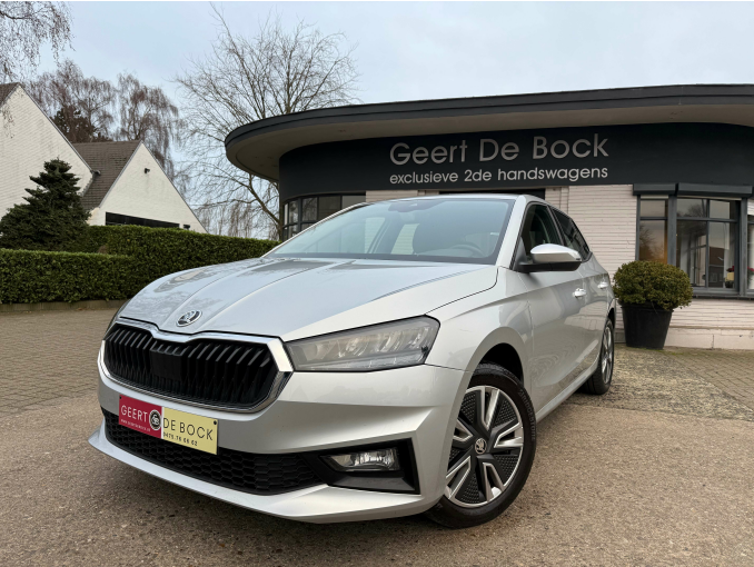 Geert De Bock - Skoda Fabia