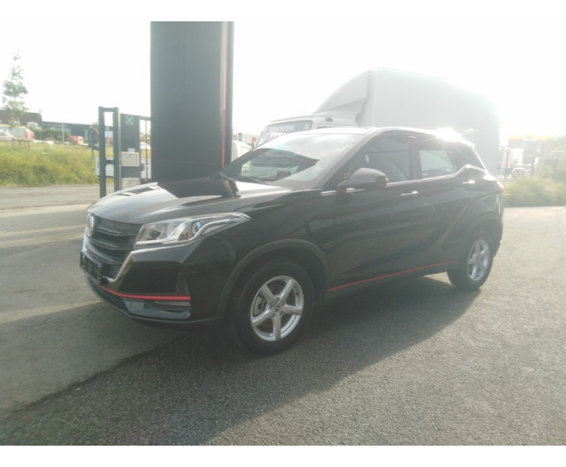 DFSK   AutoLinck - De link voor Uw wagen!