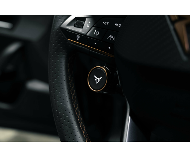 CUPRA Formentor VZ 2.0 TSI 4Drive DSG Pano/Beats/trekhaak L-Cars