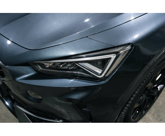 CUPRA Formentor VZ 2.0 TSI 4Drive DSG Pano/Beats/trekhaak L-Cars