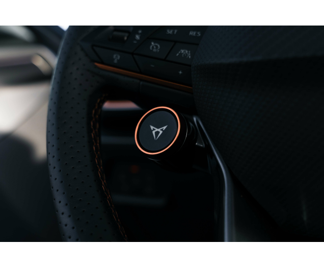 CUPRA Formentor VZ 2.0 TSI 4Drive DSG Beats/PANO/Trekhaak/winterse L-Cars