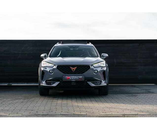 CUPRA Formentor VZ 2.0 TSI 4Drive DSG Beats/PANO/Trekhaak/winterse L-Cars