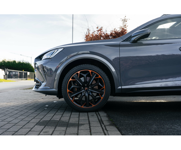 CUPRA Formentor VZ 2.0 TSI 4Drive DSG Beats/PANO/Trekhaak/winterse L-Cars