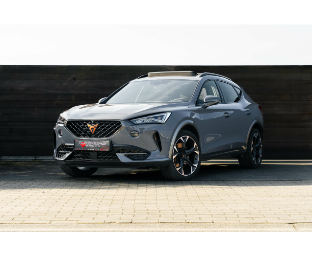 CUPRA Formentor 2.0 TSI 4Drive VZ DSG Sabelt bucket/Beats/Pano L-Cars