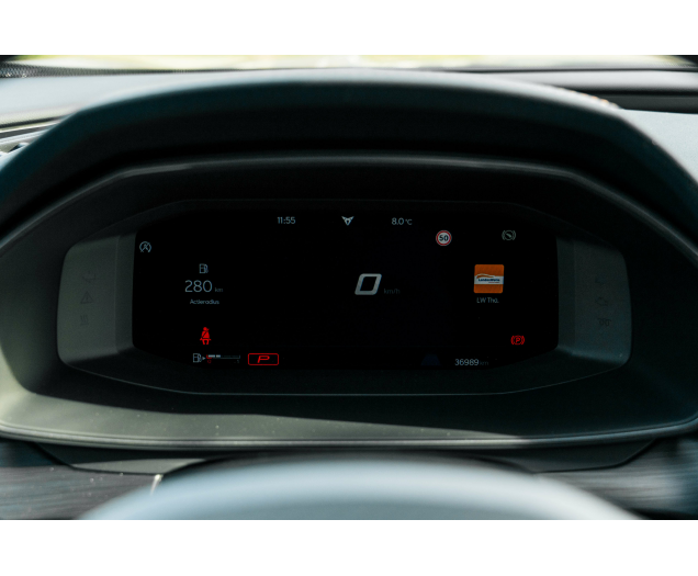 CUPRA Formentor 2.0 TSI 4Drive VZ DSG Sabelt bucket/Beats/Pano L-Cars