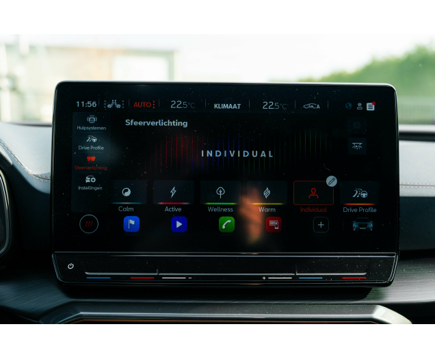 CUPRA Formentor 2.0 TSI 4Drive VZ DSG Sabelt bucket/Beats/Pano L-Cars