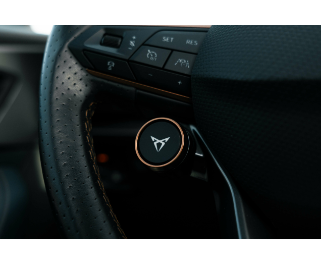 CUPRA Formentor 2.0 TSI 4Drive VZ DSG Sabelt bucket/Beats/Pano L-Cars