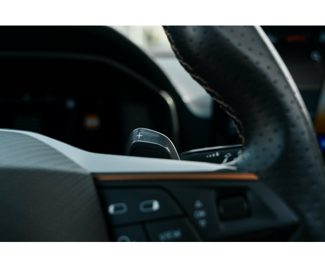 CUPRA Formentor 2.0 TSI 4Drive VZ DSG Sabelt bucket/Beats/Pano L-Cars