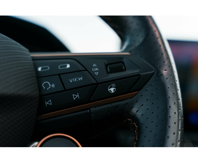 CUPRA Formentor 2.0 TSI 4Drive VZ DSG Sabelt bucket/Beats/Pano L-Cars