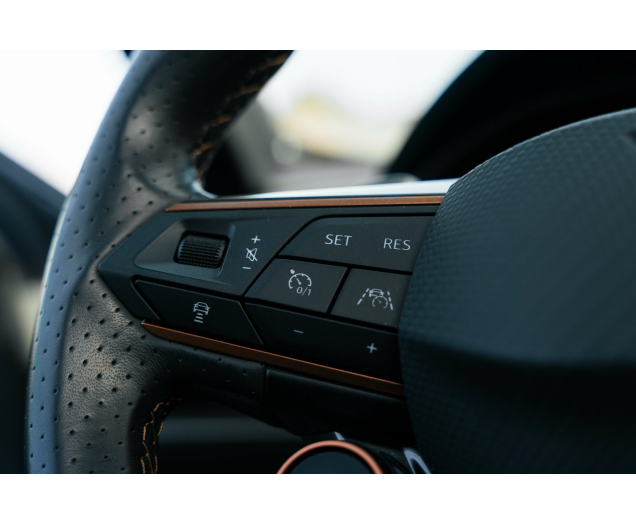 CUPRA Formentor 2.0 TSI 4Drive VZ DSG Sabelt bucket/Beats/Pano L-Cars