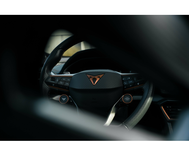 CUPRA Formentor 2.0 TSI 4Drive VZ DSG Sabelt bucket/Beats/Pano L-Cars