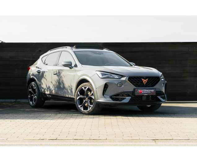 CUPRA Formentor 2.0 TSI 4Drive VZ DSG Sabelt bucket/Beats/Pano L-Cars