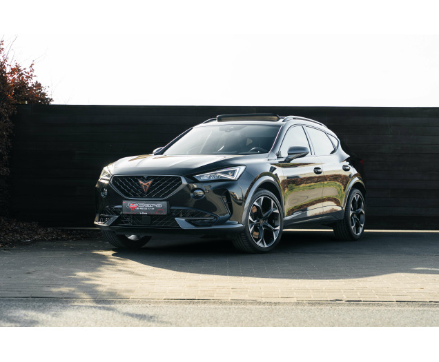 CUPRA Formentor 2.0 TSI 4Drive VZ DSG Beats/Pano/360 L-Cars