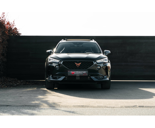 CUPRA Formentor 2.0 TSI 4Drive VZ DSG Beats/Pano/360 L-Cars