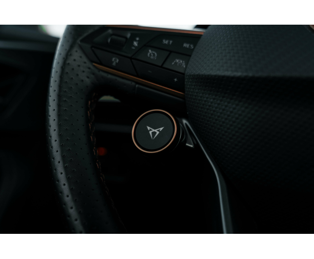 CUPRA Formentor 2.0 TSI 4Drive VZ DSG Beats/Pano/360 L-Cars