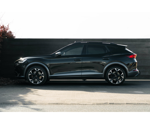 CUPRA Formentor 2.0 TSI 4Drive VZ DSG Beats/Pano/360 L-Cars