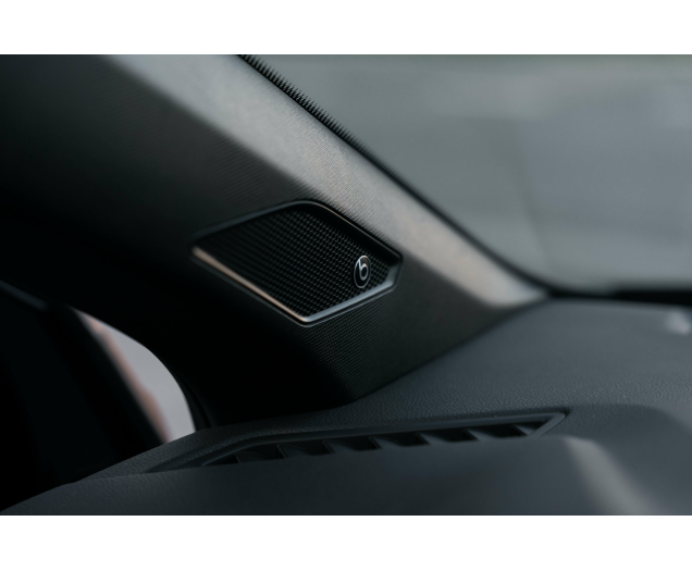 Volkswagen Polo GTI 2.0 TSi OPF DSG L-Cars