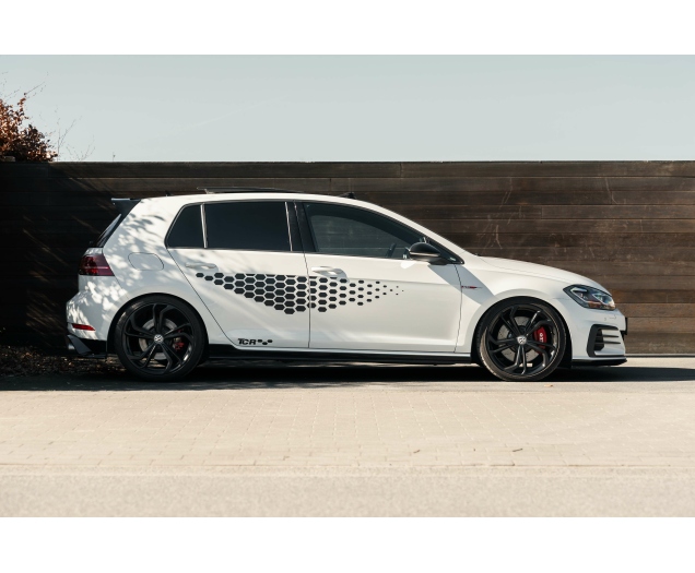 Volkswagen Golf GTI Golf GTI TCR 2.0 TSI OPF DSG L-Cars