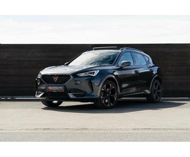 CUPRA Formentor Formentor 2.0 TSI 4Drive VZ DSG L-Cars