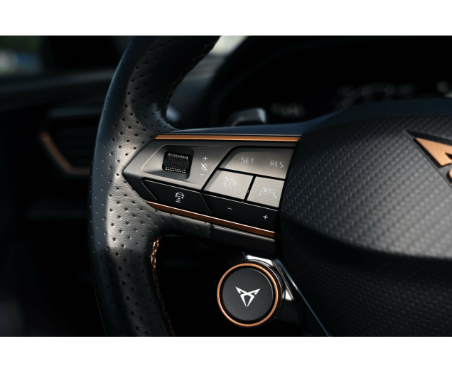 CUPRA Formentor Formentor 2.0 TSI 4Drive VZ DSG L-Cars