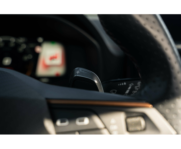 CUPRA Formentor Formentor 2.0 TSI 4Drive VZ DSG L-Cars