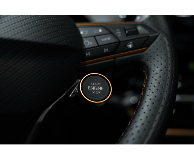 CUPRA Formentor Formentor 2.0 TSI 4Drive VZ DSG L-Cars