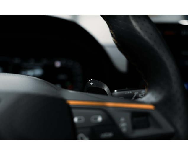 CUPRA Formentor Formentor 2.0 TSI 4Drive VZ DSG L-Cars