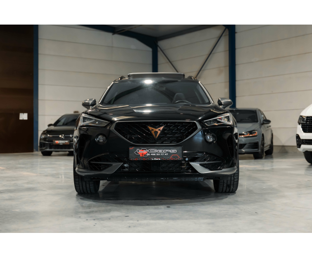 CUPRA Formentor Formentor 2.0 TSI 4Drive VZ DSG L-Cars