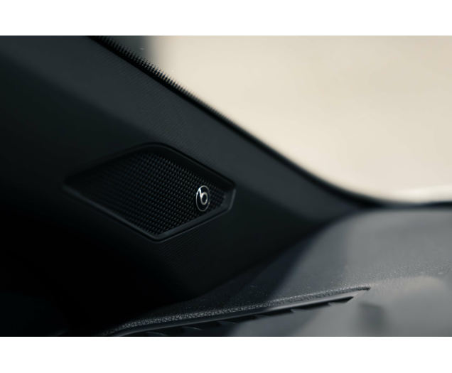 Volkswagen Polo GTI 2.0 TSI DSG IQLED Beats audi Pano dak L-Cars