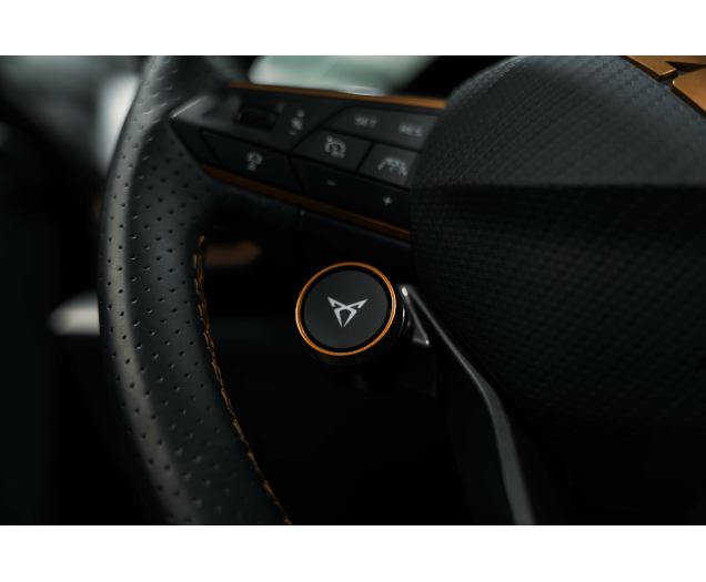 CUPRA Formentor Formentor 2.0 TSI 4Drive VZ DSG L-Cars