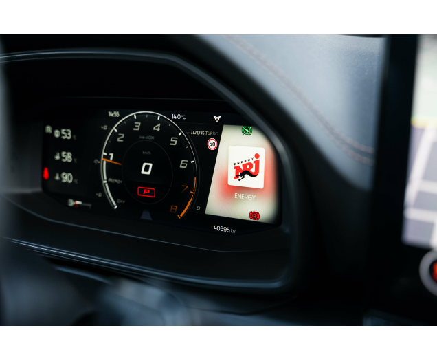 CUPRA Formentor Formentor 2.0 TSI 4Drive VZ DSG L-Cars
