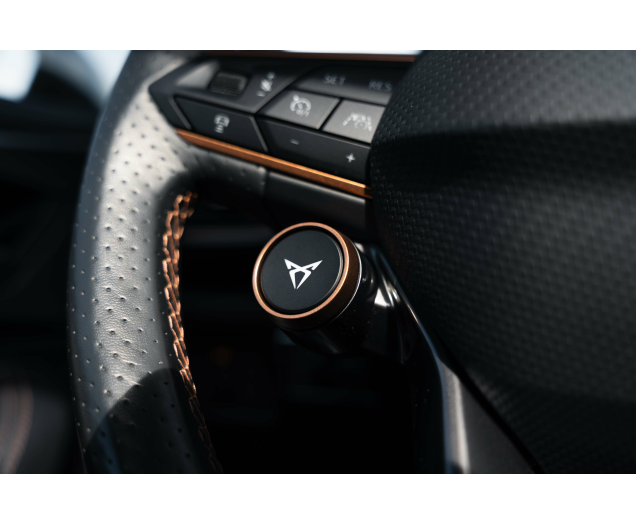 CUPRA Formentor Formentor 2.0 TSI 4Drive VZ DSG L-Cars