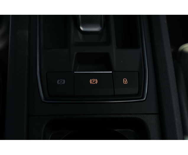 CUPRA Formentor Formentor 2.0 TSI 4Drive VZ DSG L-Cars