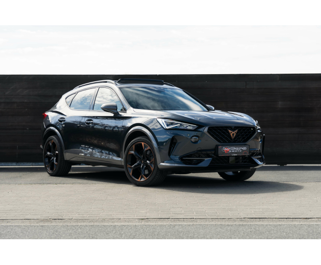 CUPRA Formentor Formentor 2.0 TSI 4Drive VZ DSG L-Cars